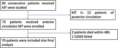 Systemic Glycemic Variation Predicts Mortality of Acute Ischemic Stroke After Mechanical Thrombectomy: A Prospective Study Using Continuous Glucose Monitoring